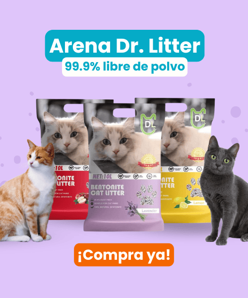 arena dr. litter