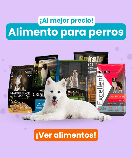 alimentos perro