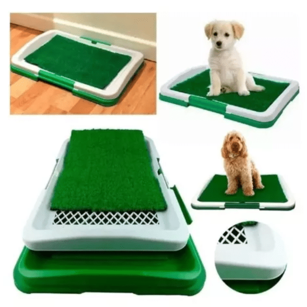 Baño Ecológico Para Perro Baño Mascotas 47 x 34 x 6 Cm Doggie Fun