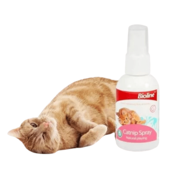 Catnip Spray Bioline Hierba Gatera Relajante Para Gatos 50ml