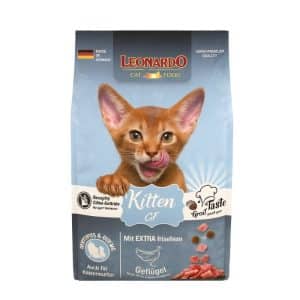 Leonardo Kitten GF