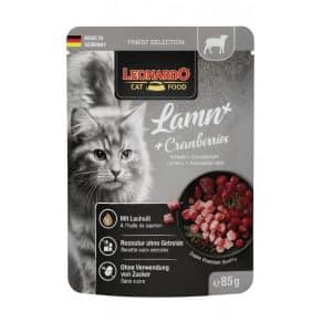 leonardo cordero+cranberries