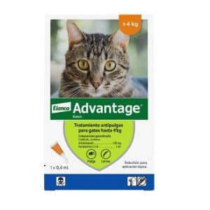 Advantage® para gatos hasta 4 kg