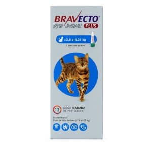 Bravecto® Plus Felino (2.8 a 6.25 kg)