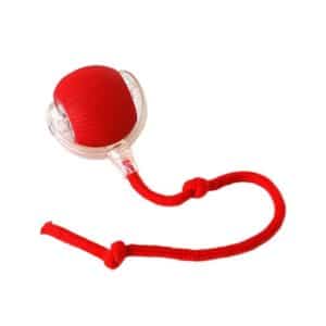 Pelota Inteligente para Perro y Gato
