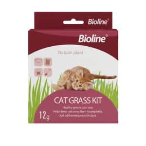 Cat Grass Kit