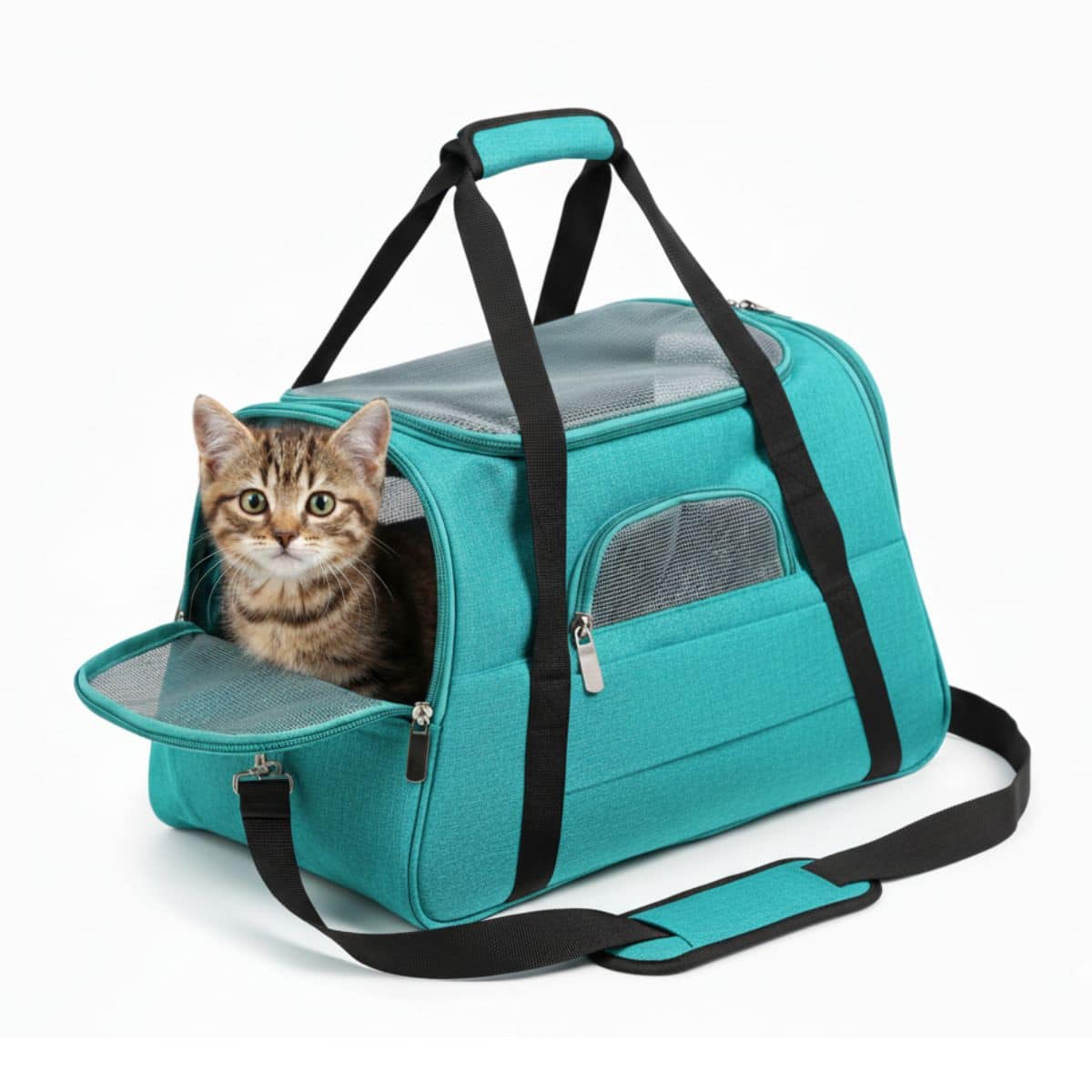 Transportador de Mascotas malla Azul